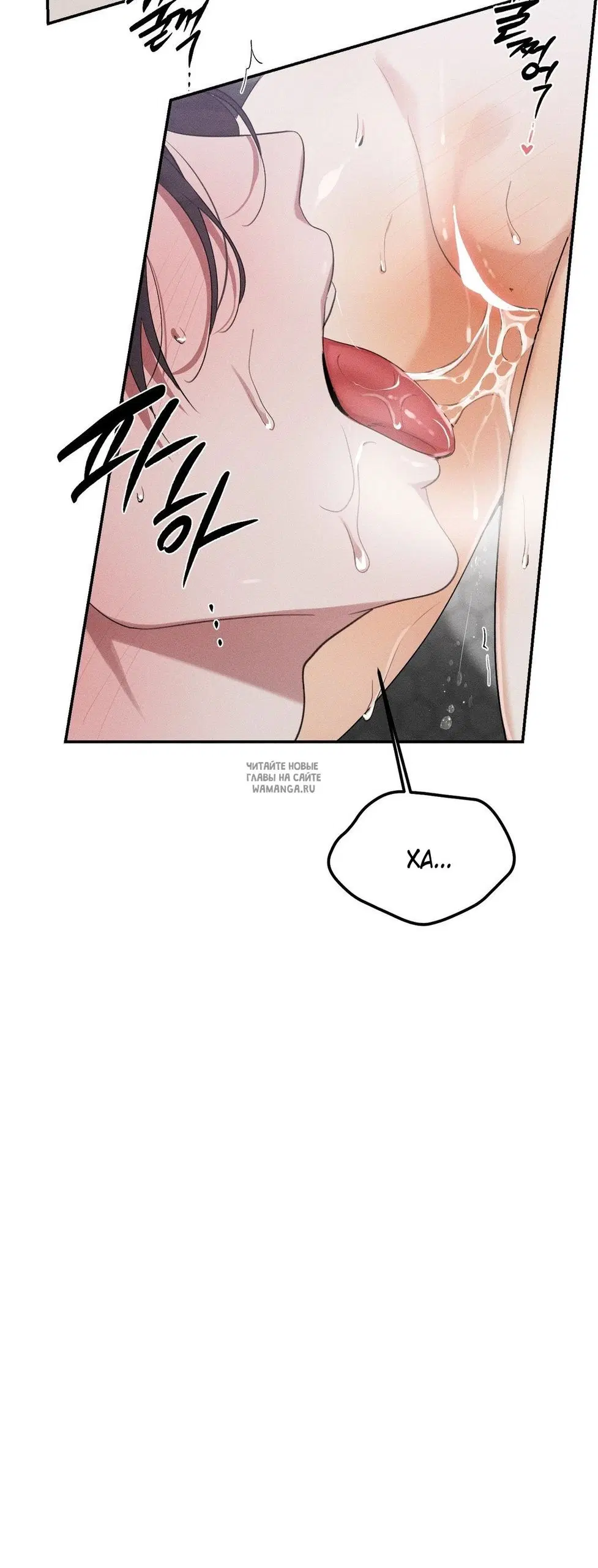 Page 51.000