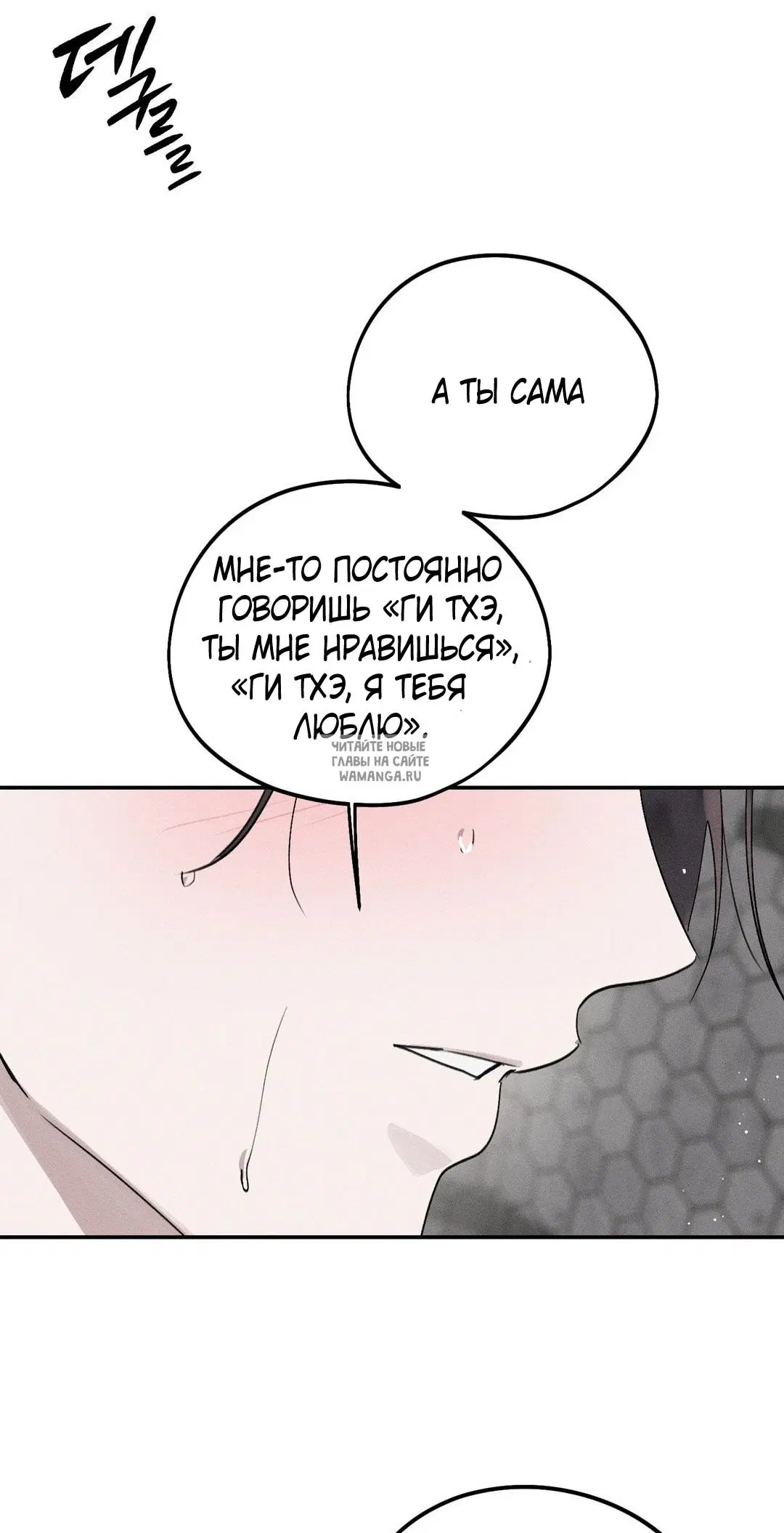 Page 51.000