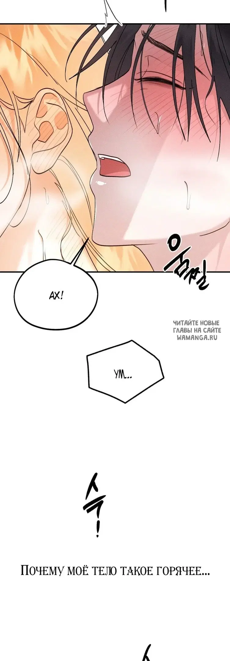 Page 53.000