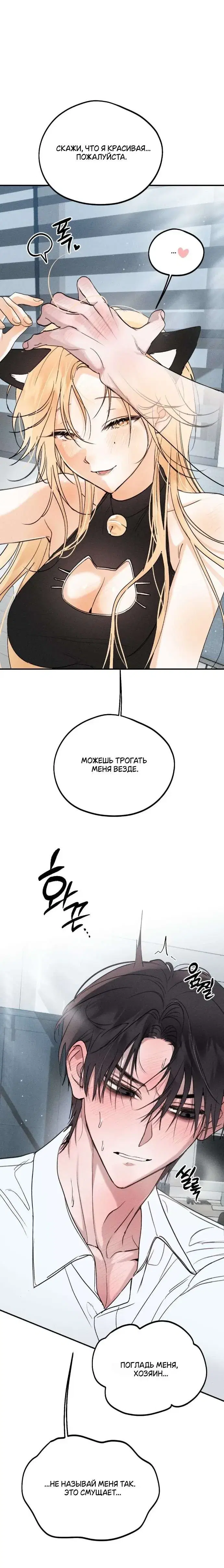 Page 6.001