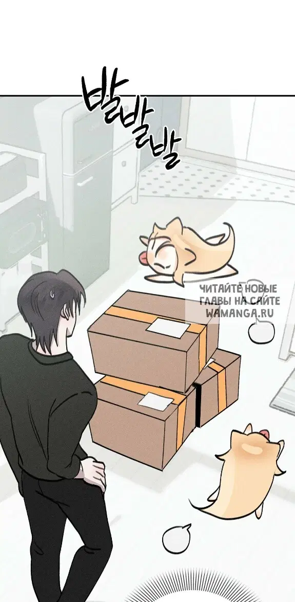 Page 84.000