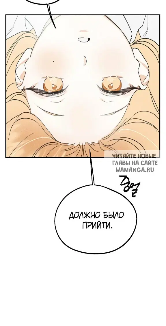 Page 81.000