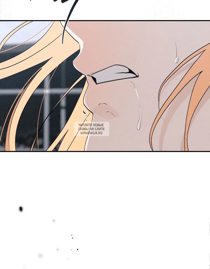 Page 81.000