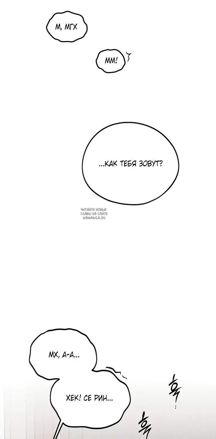 Page 81.000