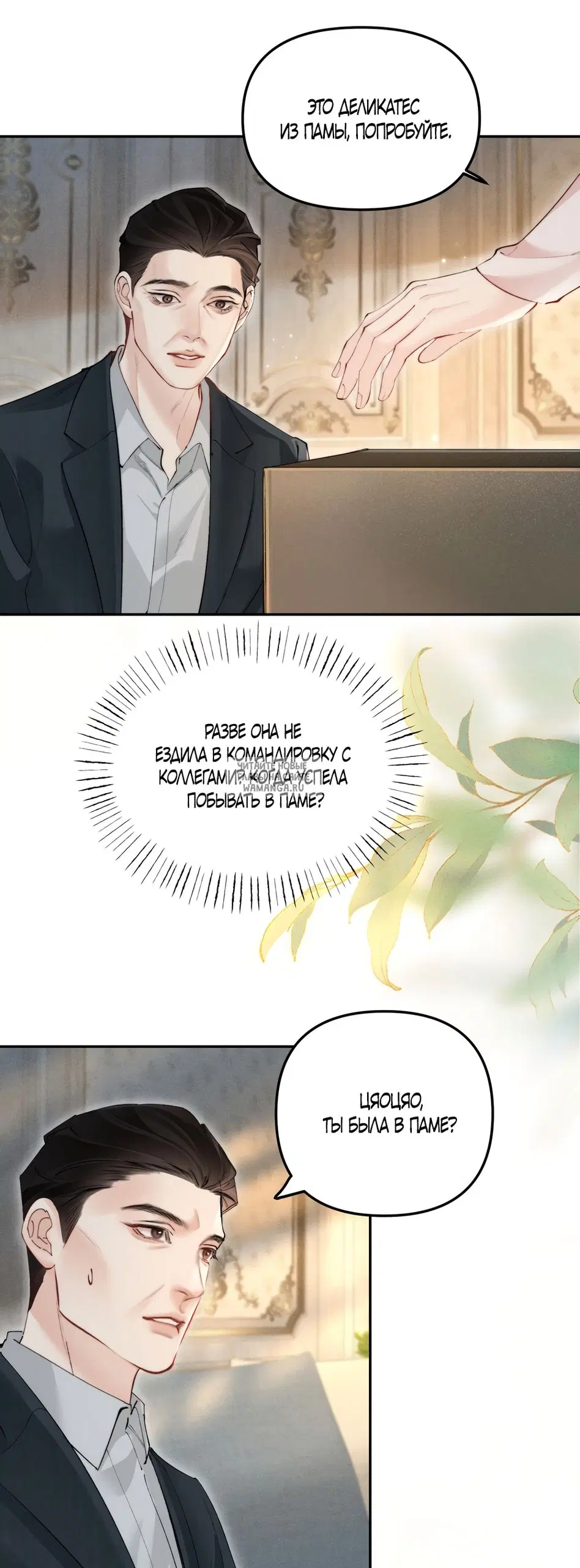 Page 3.000