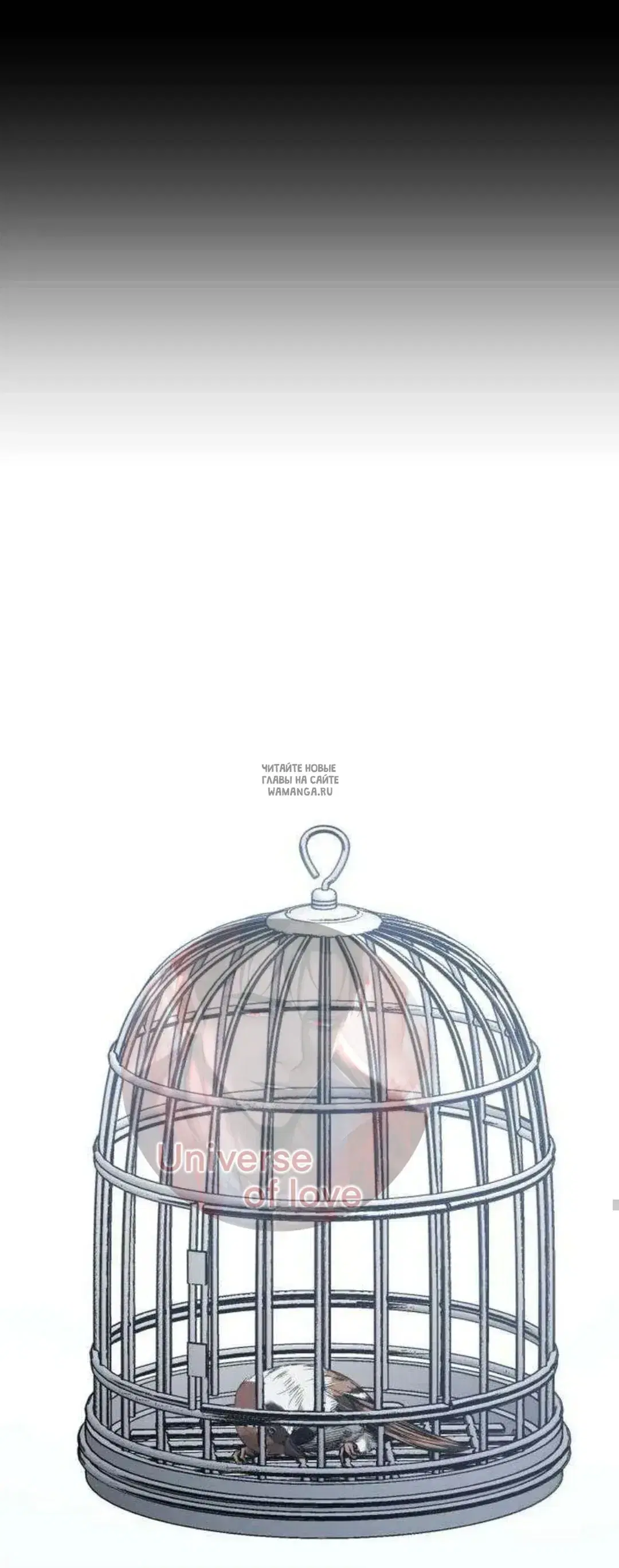 Page 31.000