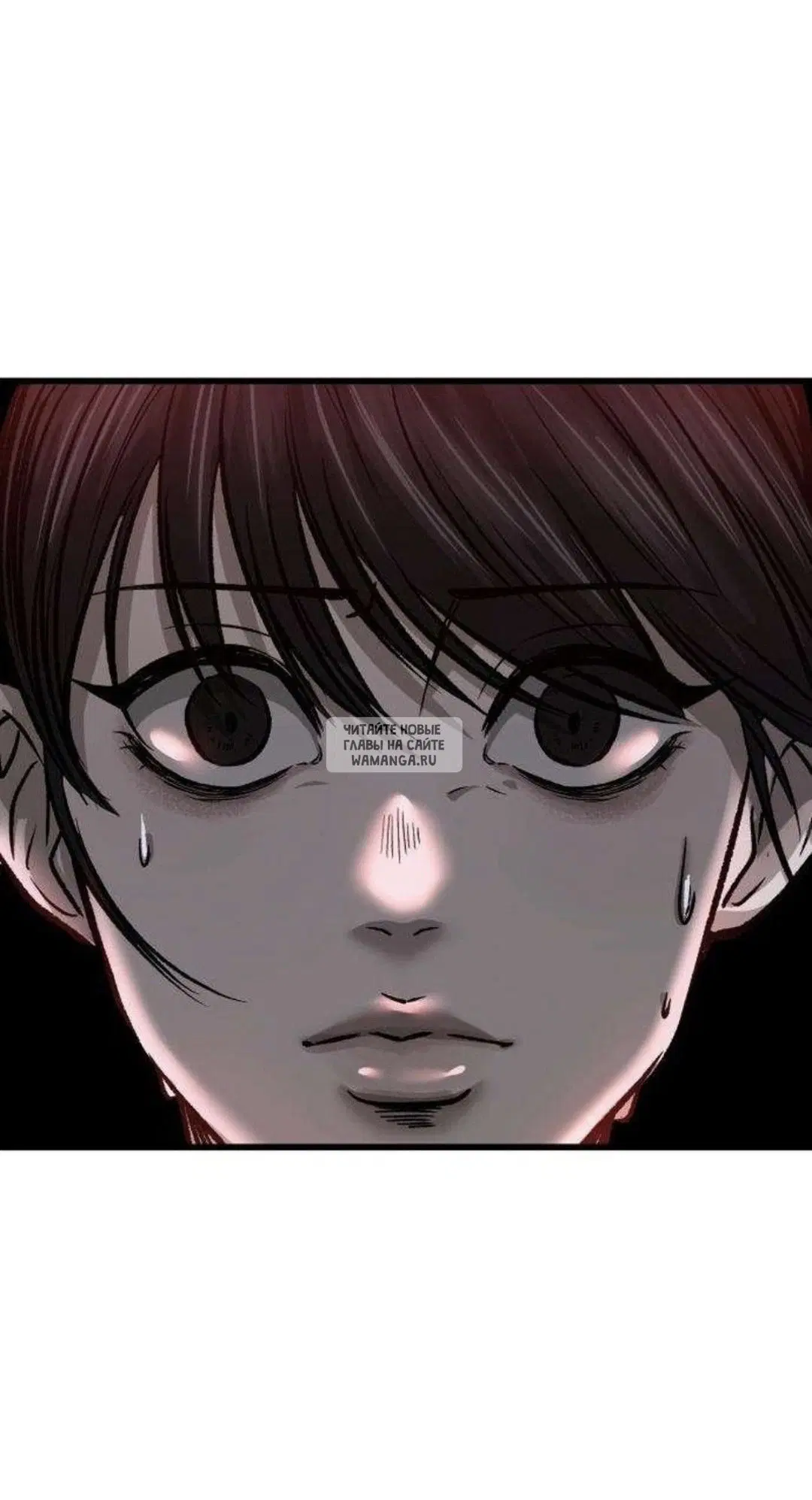 Page 49.000