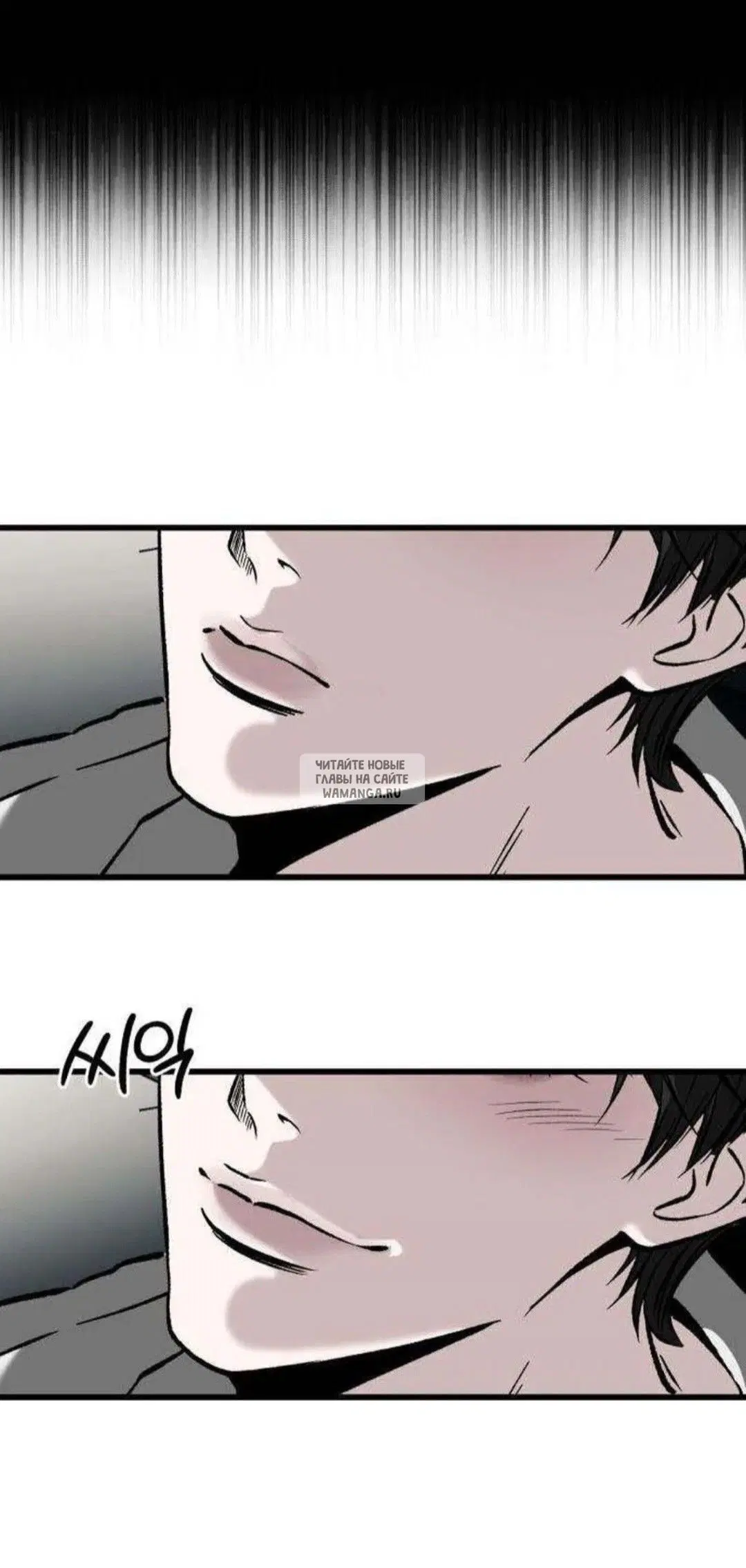 Page 53.000