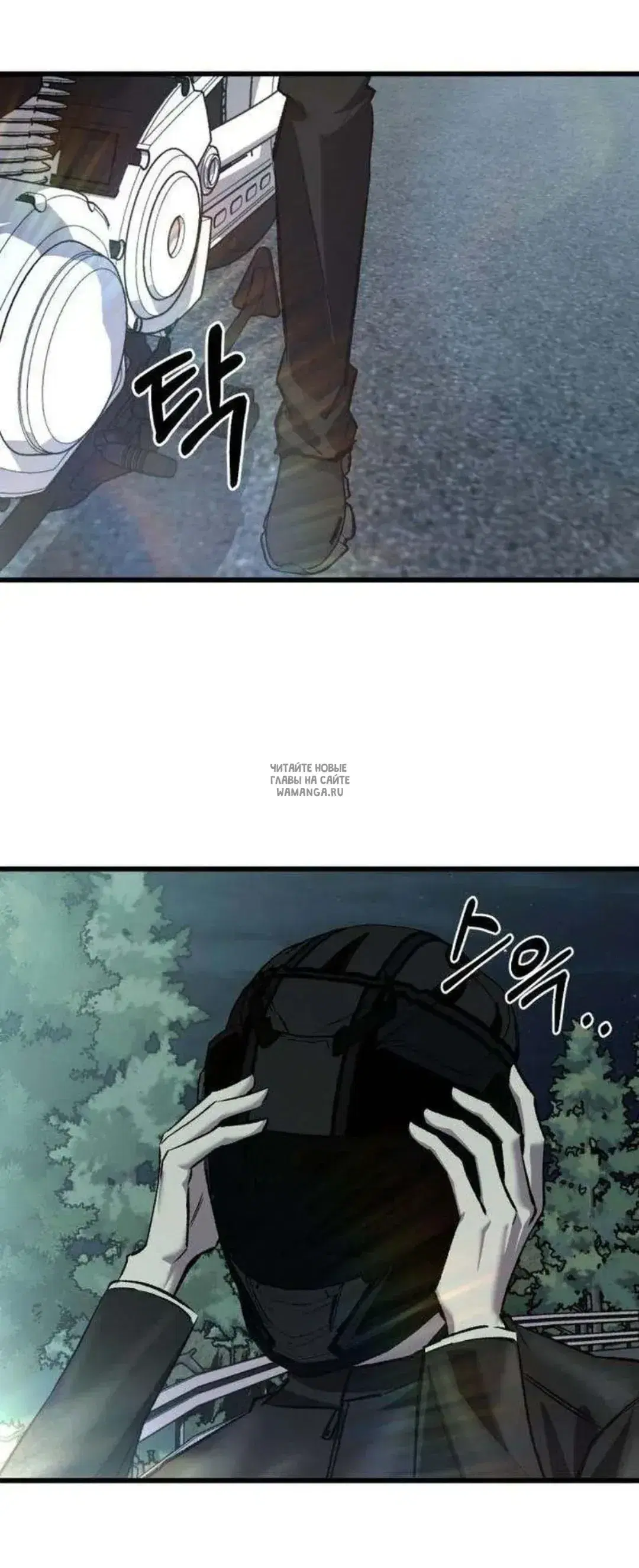 Page 81.000