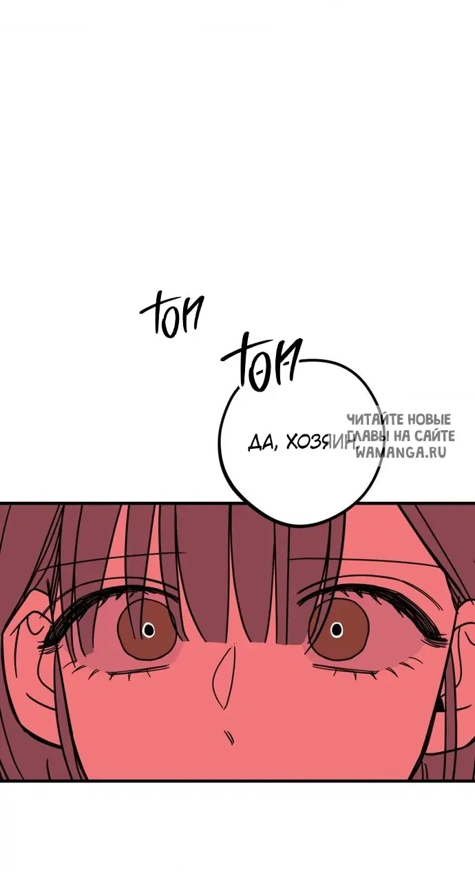 Page 55.000