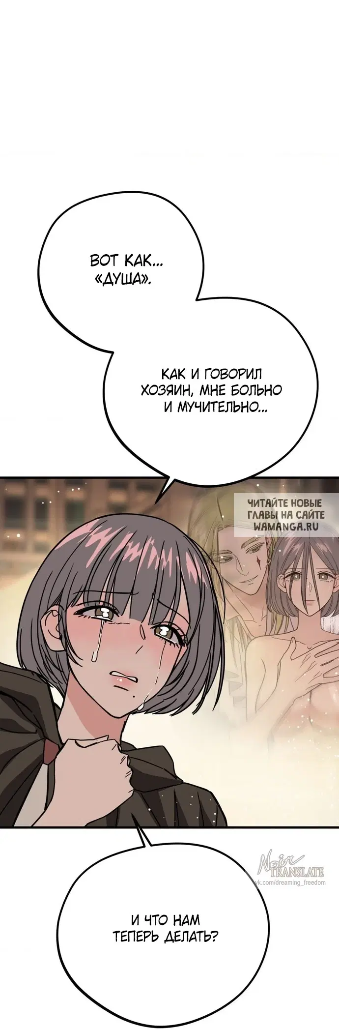 Page 51.000