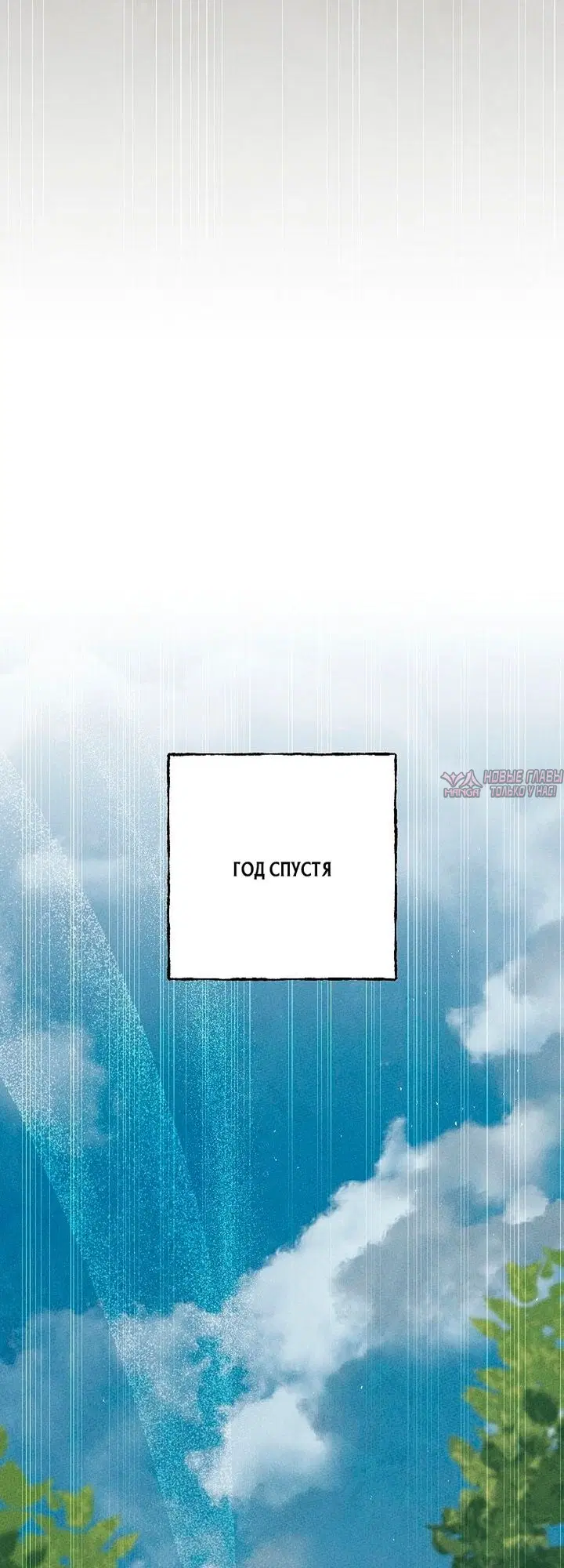 Page 51.000