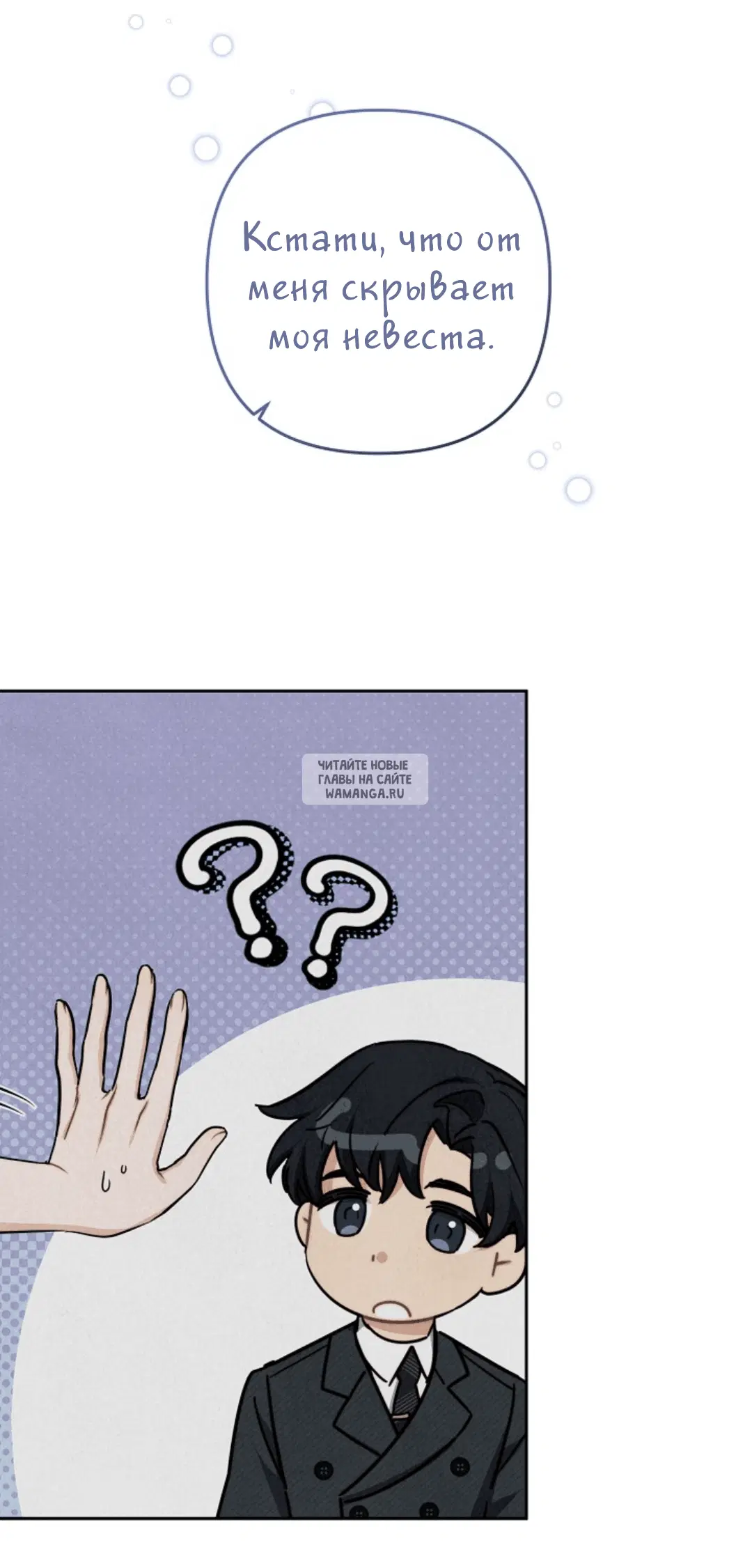 Page 81.000