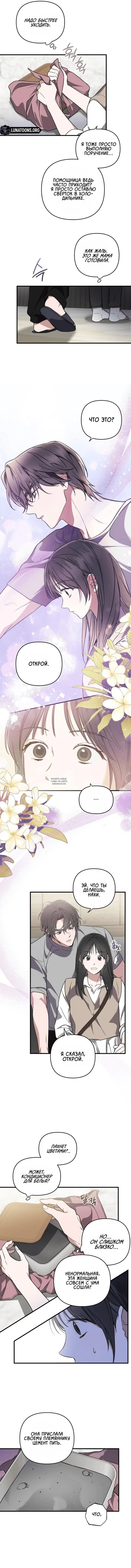 Page 3.000