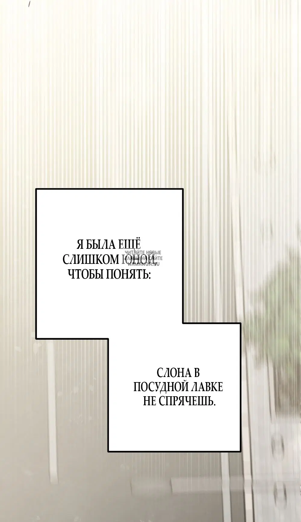 Page 50.000