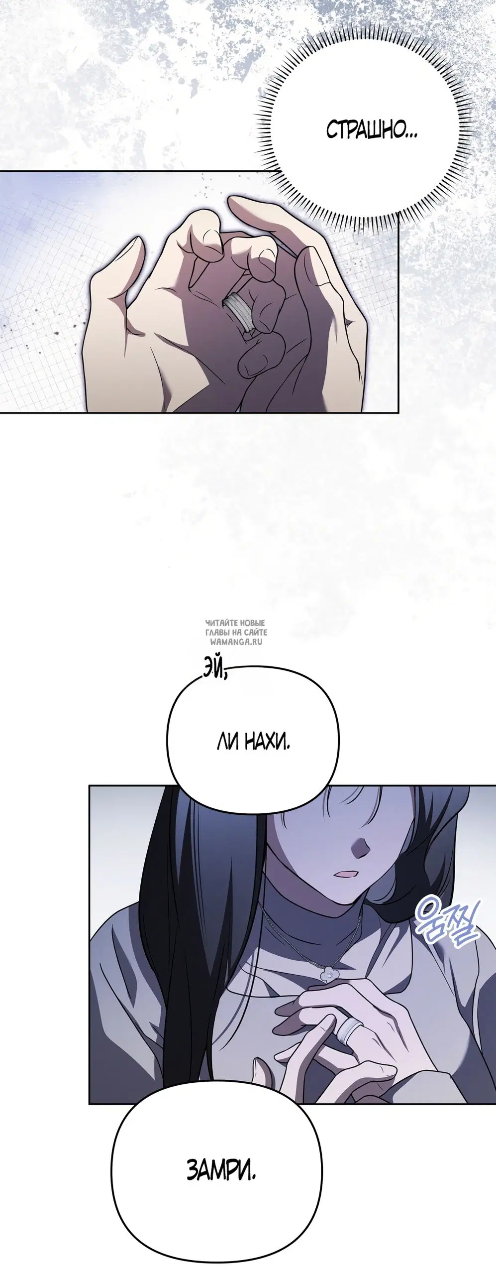 Page 51.000