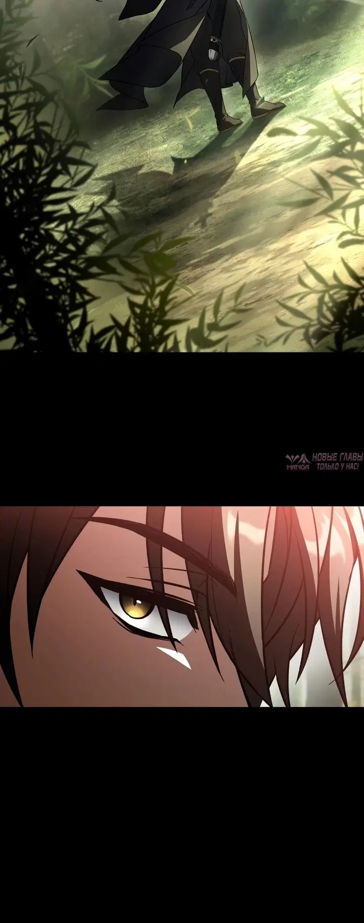 Page 41.000