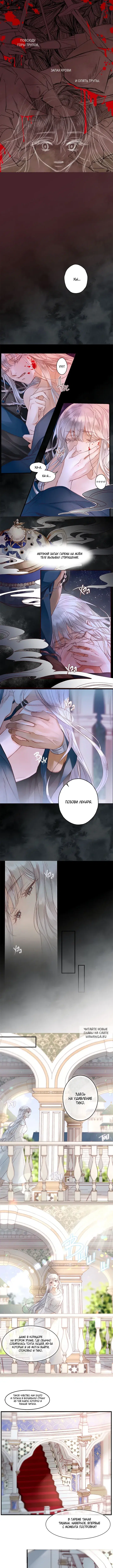 Page 3.000