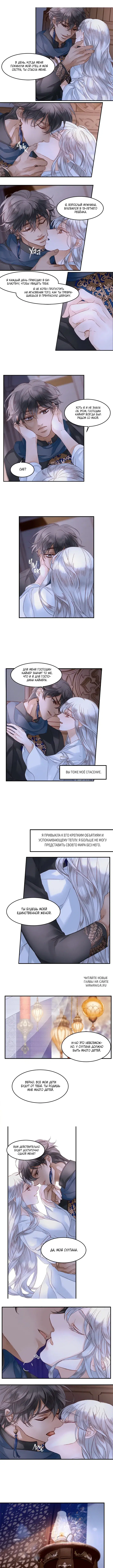 Page 3.000