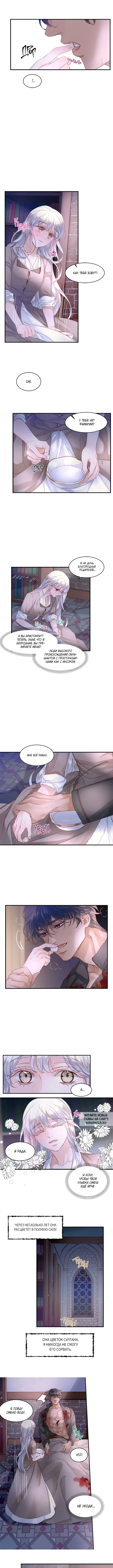 Page 4.000