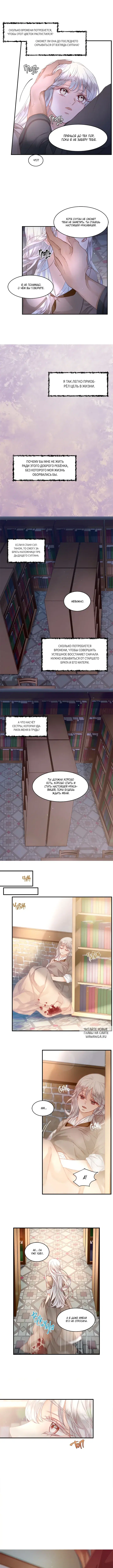 Page 5.000