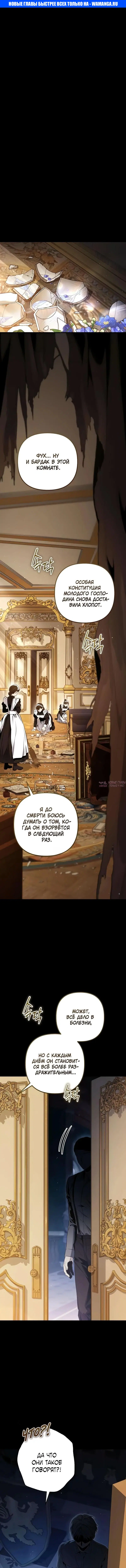 «Безумный маг 10-го класса из семьи маркграфа», глава 2, страница 1.000000000