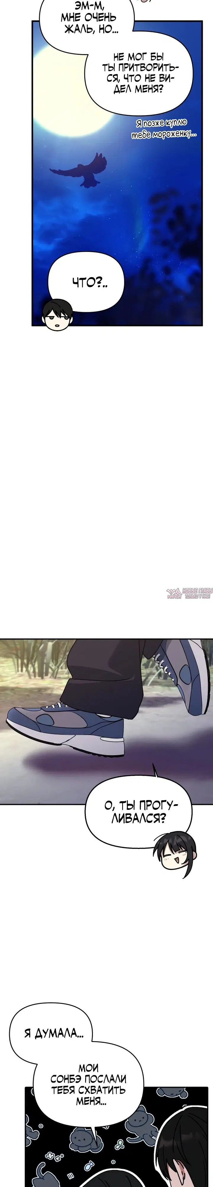 Page 13.000