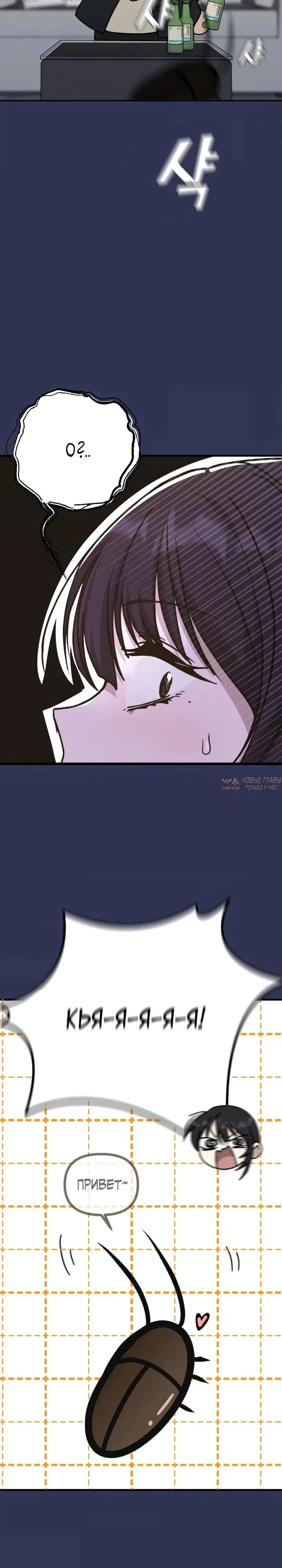 Page 13.000
