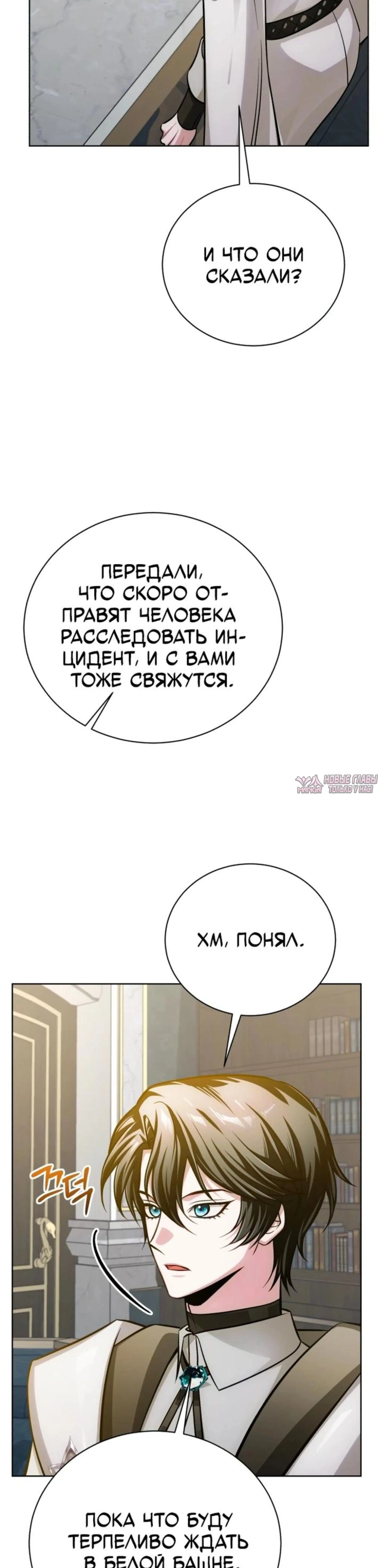 «Проблемный ребёнок магической башни», глава 45, страница 15.002000000