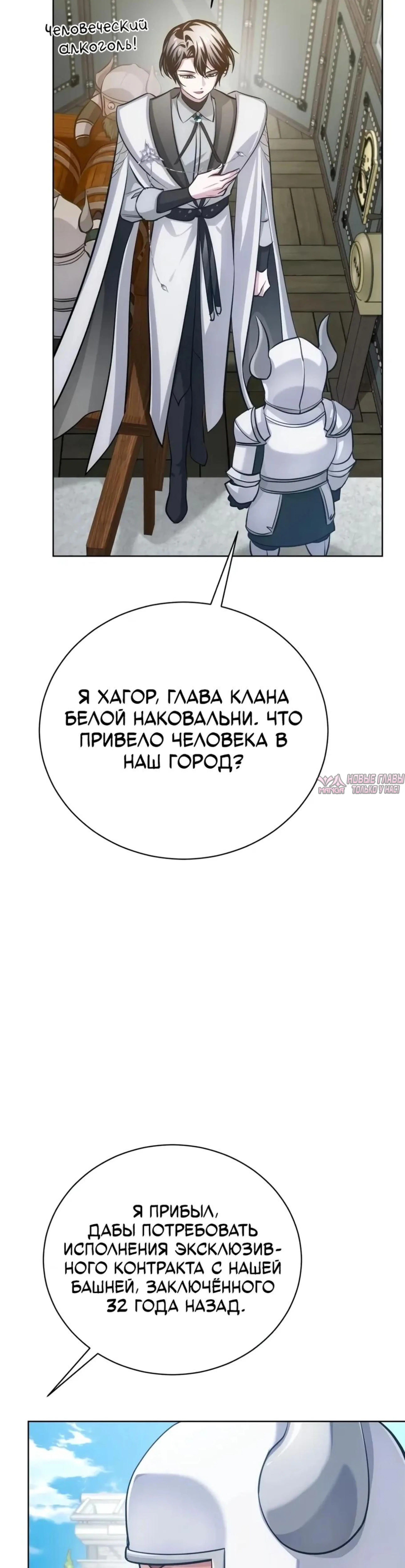 «Проблемный ребёнок магической башни», глава 46, страница 17.001000000