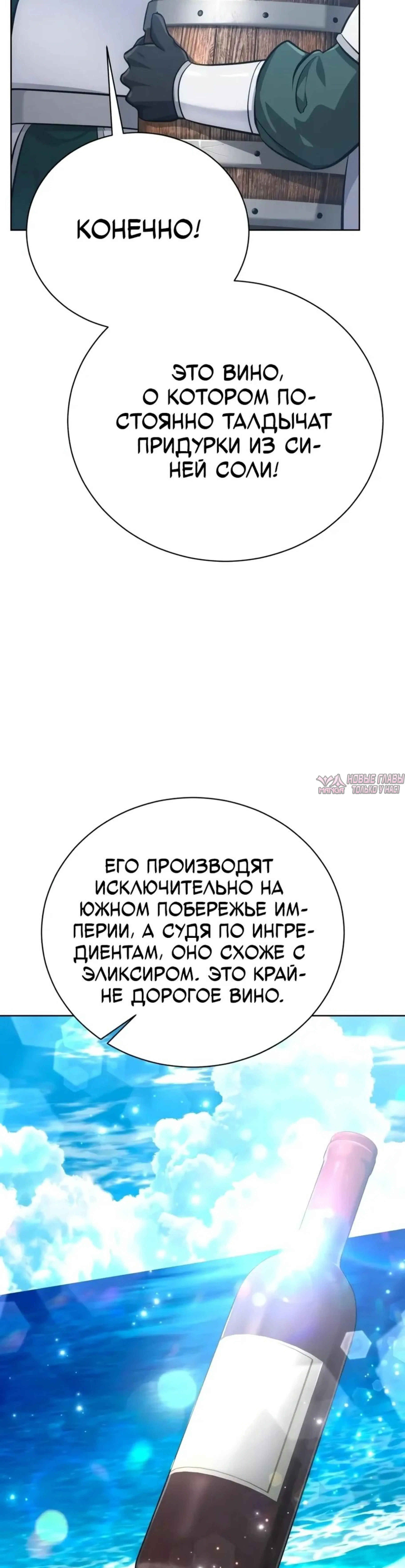 «Проблемный ребёнок магической башни», глава 46, страница 24.000000000
