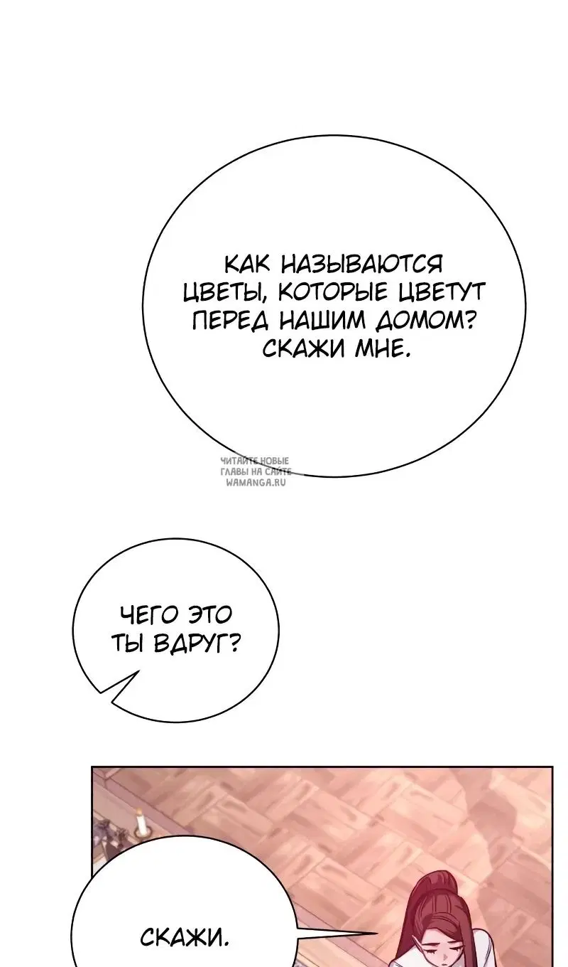 Page 42.000