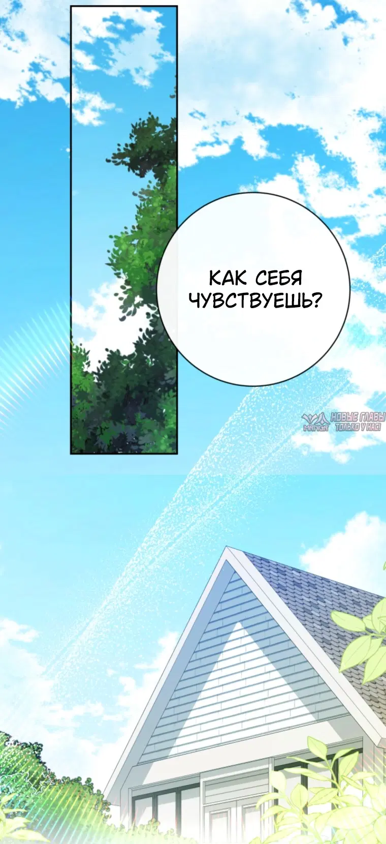 Page 31.000