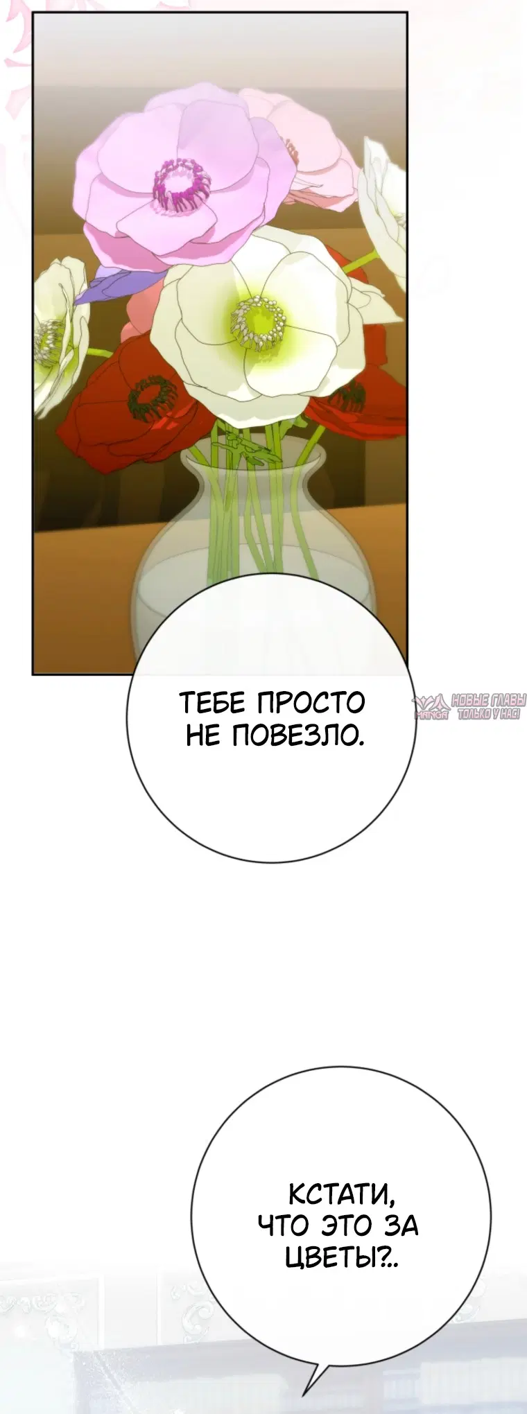 Page 35.000