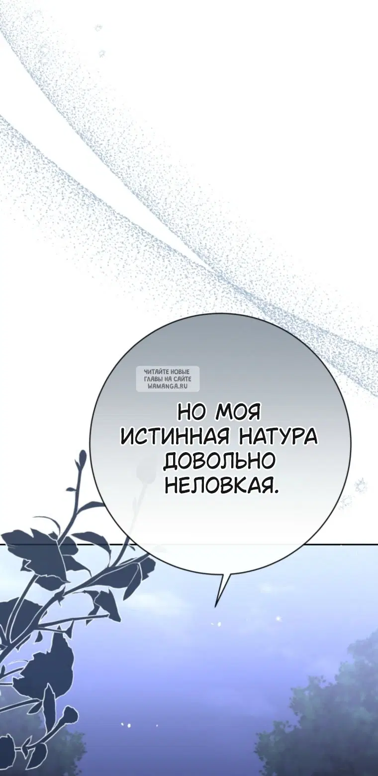 Page 48.000