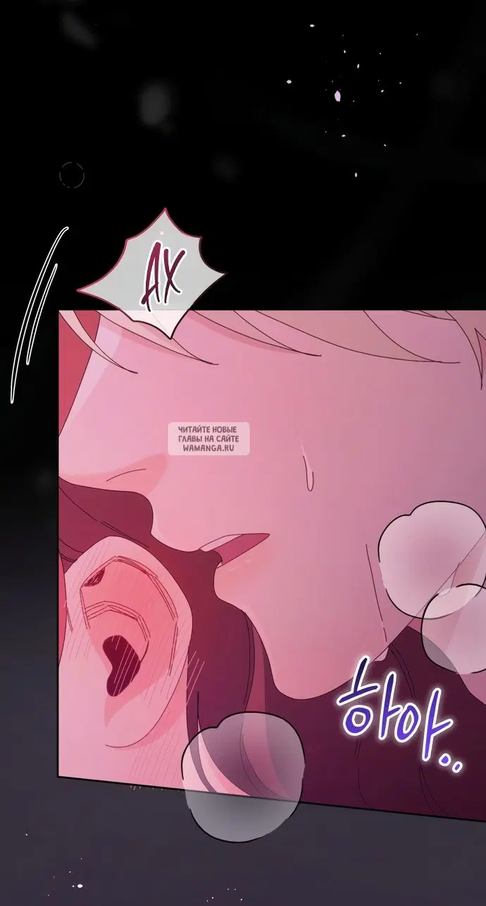 Page 63.000