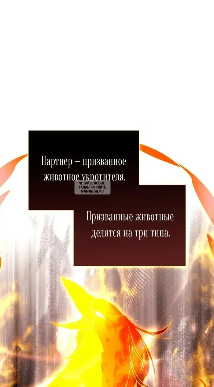Page 27.000