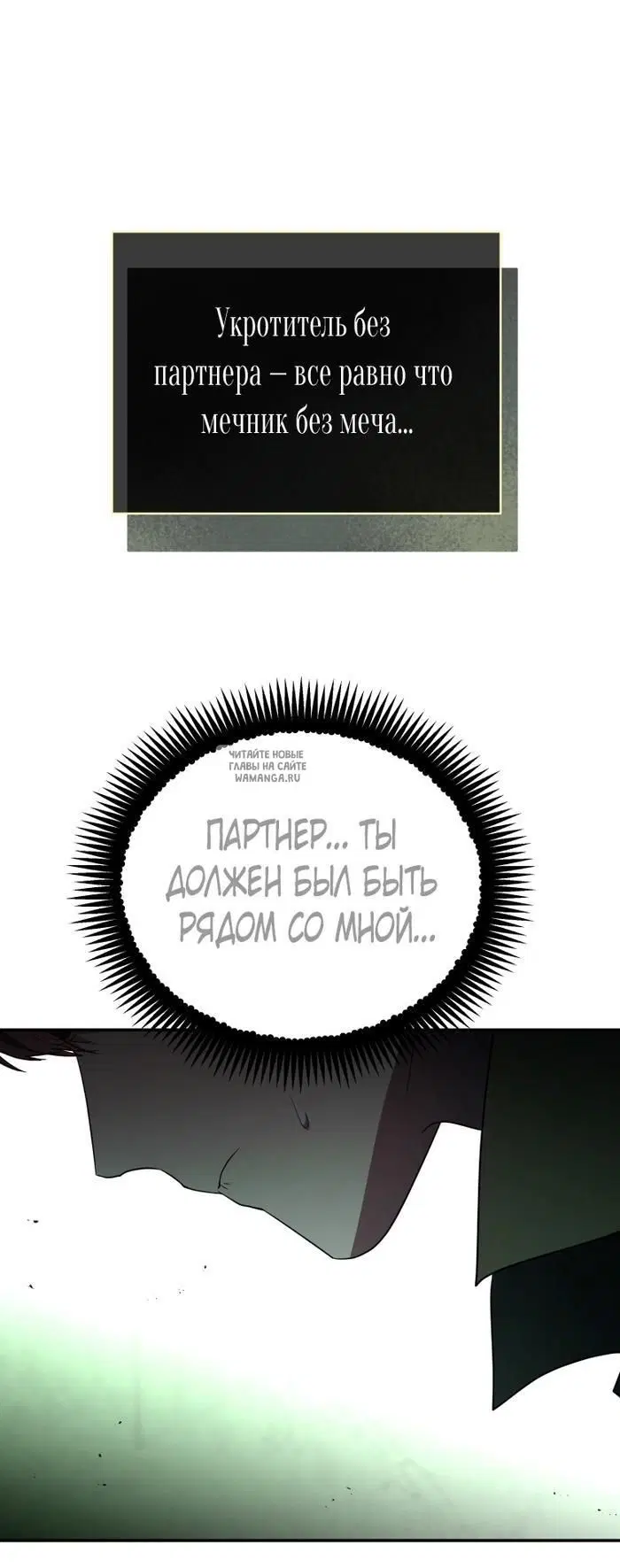 Page 30.000