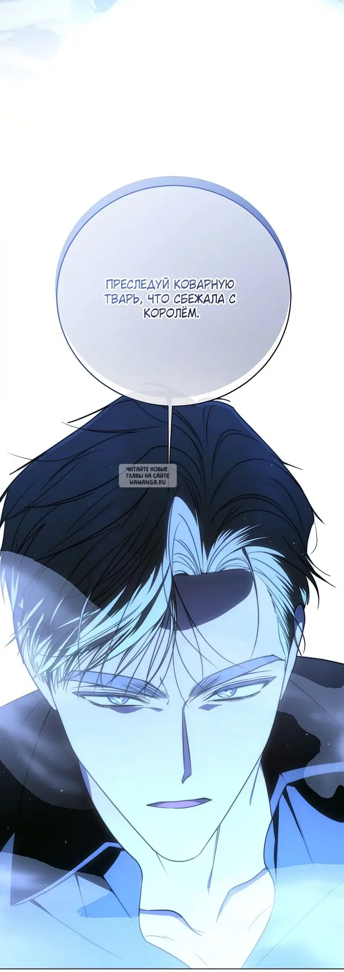 Page 41.000