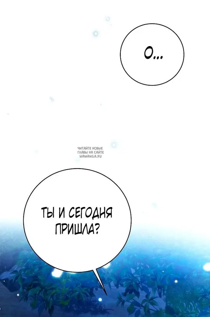 Page 50.000