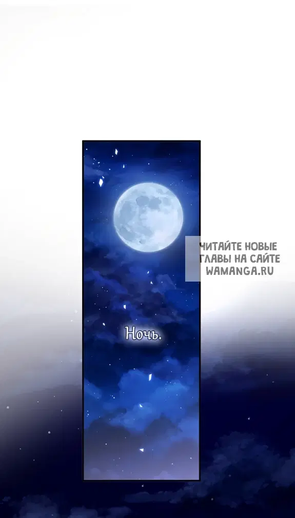 Page 51.000