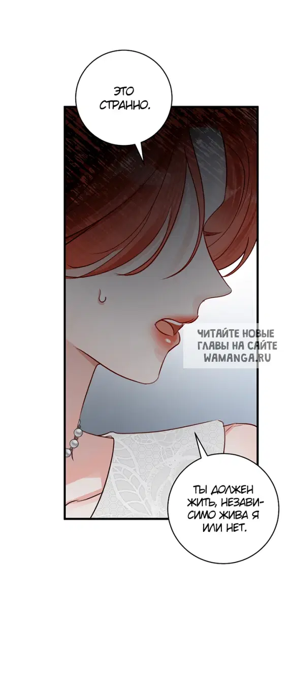 Page 52.000