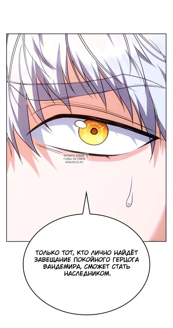 Page 31.000