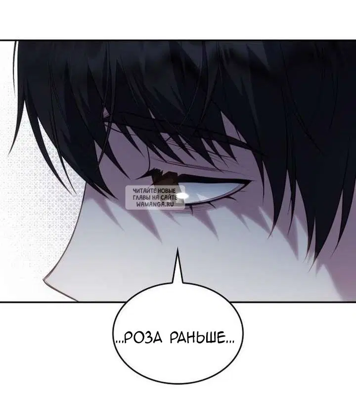 Page 51.000