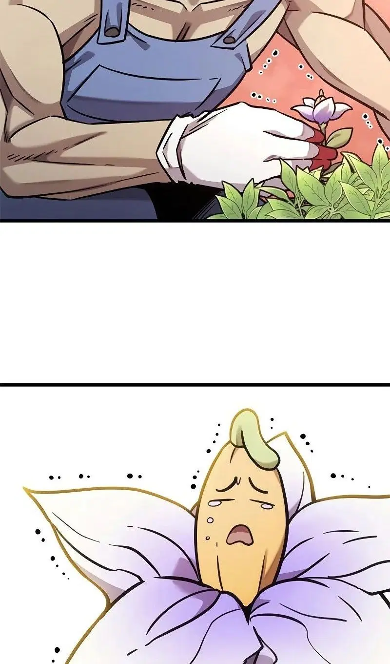 Page 25.000
