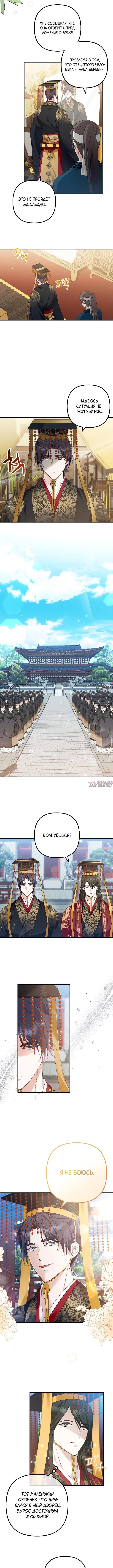 Page 3.001000000