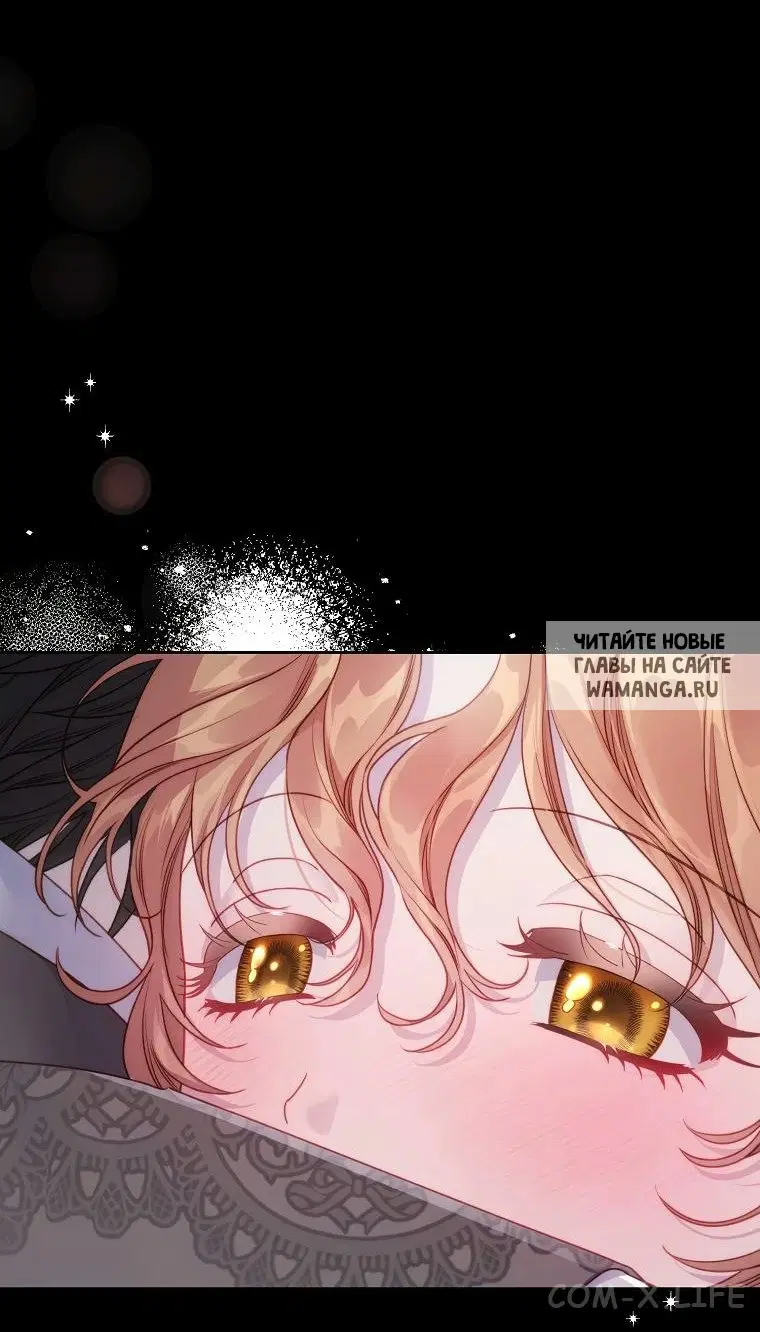 Page 43.000