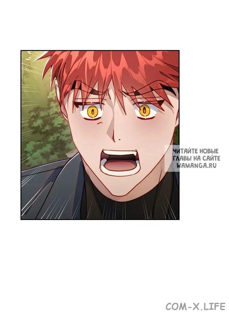 Page 51.000
