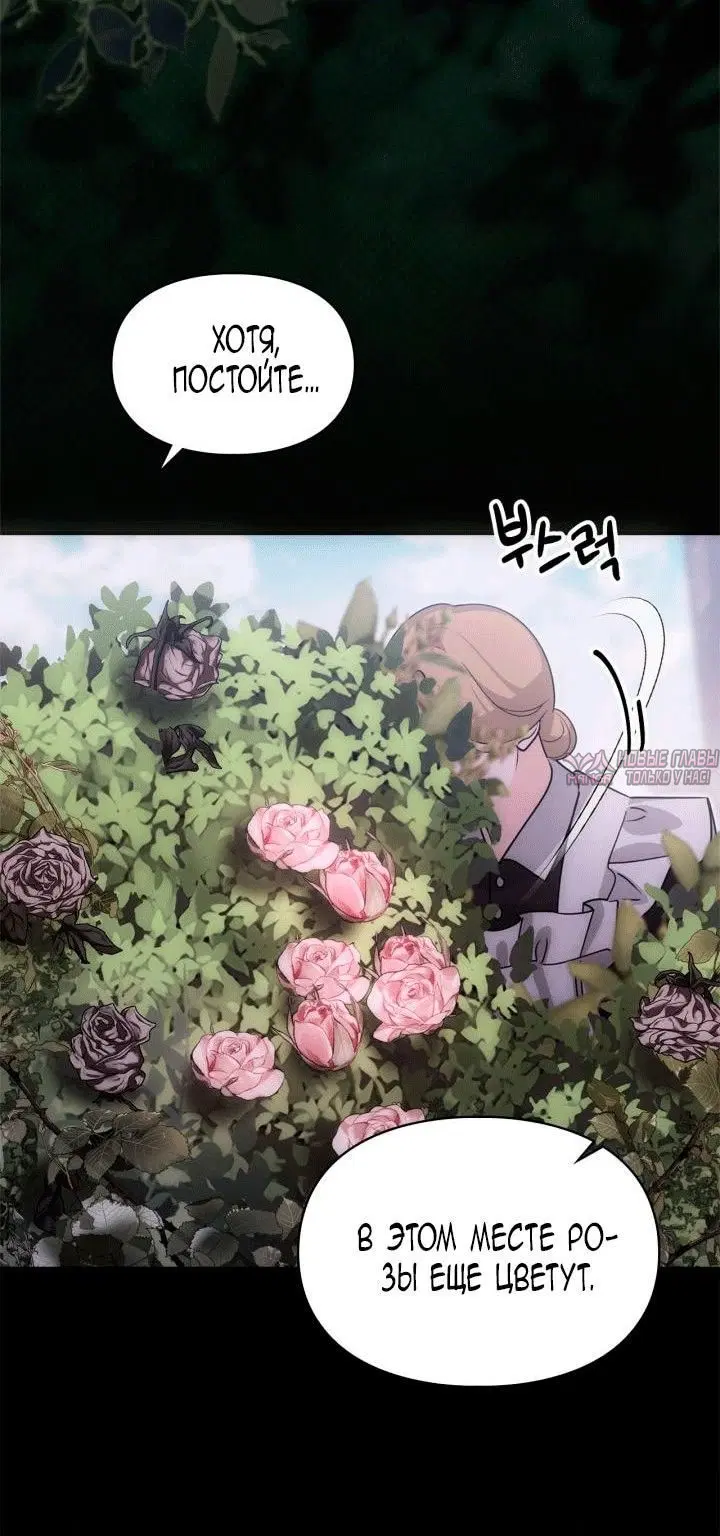 Page 16.000000000