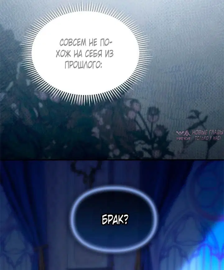 Page 31.000000000